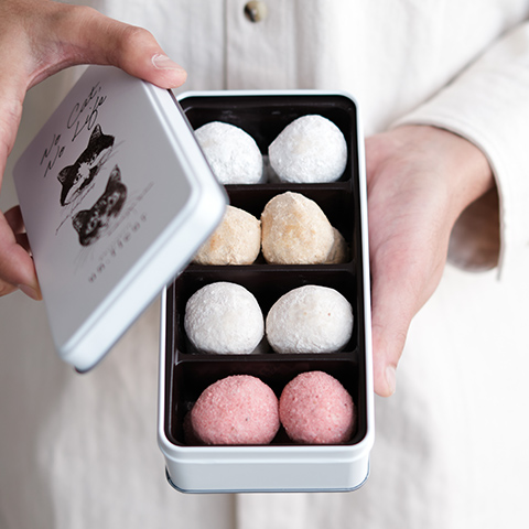 保護猫支援シリーズ